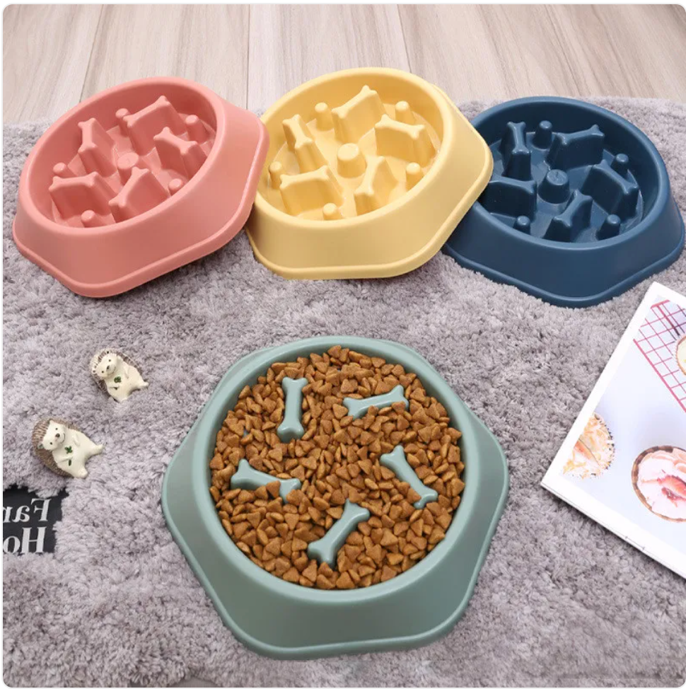 PawVital Slow Feeder Dog Bowl
