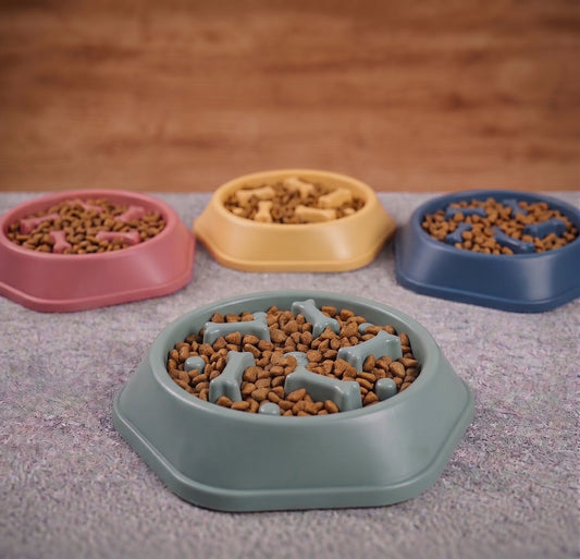 PawVital Slow Feeder Dog Bowl