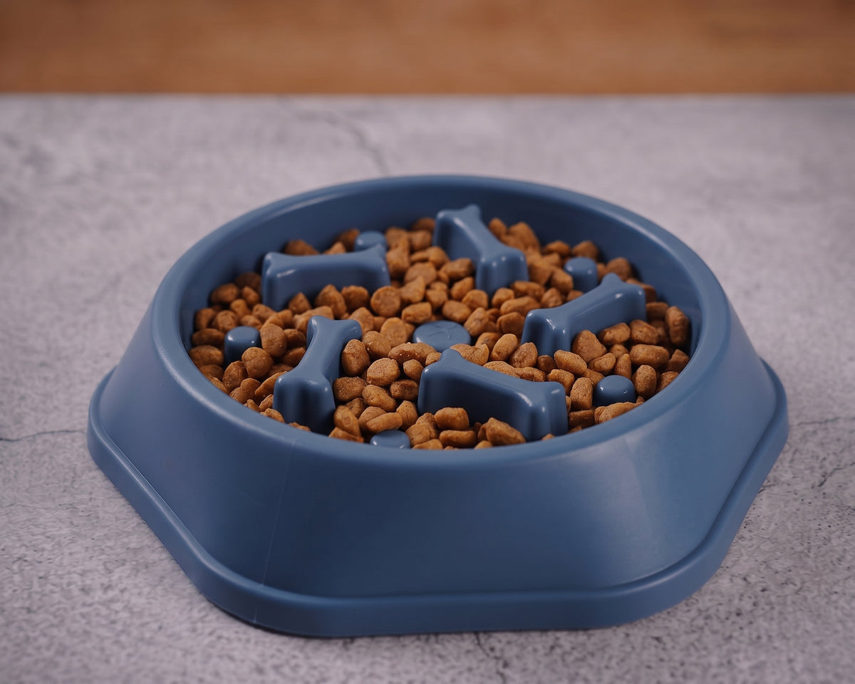 PawVital Slow Feeder Dog Bowl